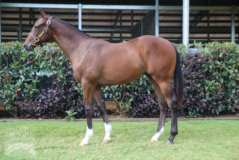 Pierro (AUS) / Bonanova (NZ) - photo 1