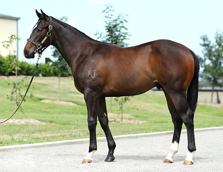 All Too Hard (AUS) / Cariad (AUS) - photo 1