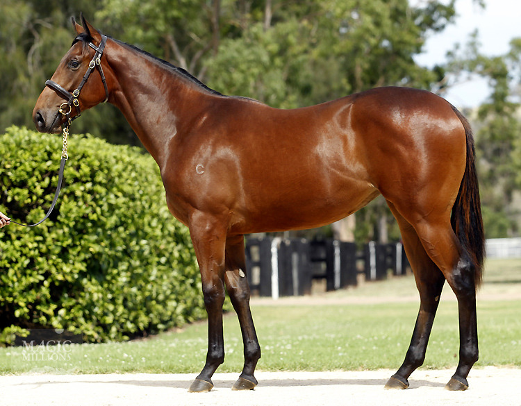 Fastnet Rock (AUS) / Catchafallingstar (GB) - photo 1