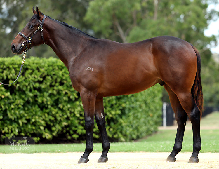 Fastnet Rock (AUS) / Chrisalice (GR) - photo 1