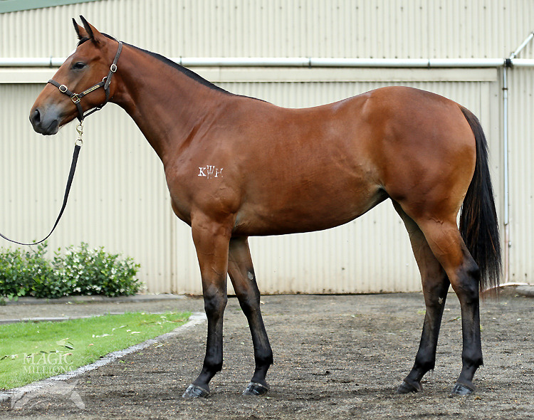 Charge Forward (AUS) / Cinquante Cinq (IRE) - photo 1