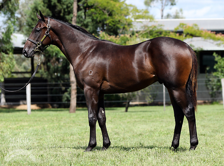 Your Song (AUS) / Classic Model (AUS) - photo 1