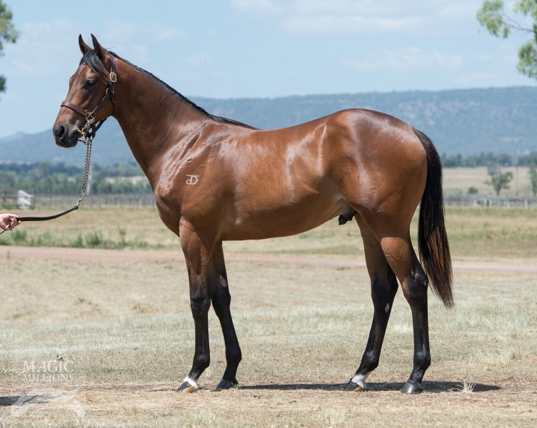 I Am Invincible (AUS) / Consulting (AUS) - photo 1