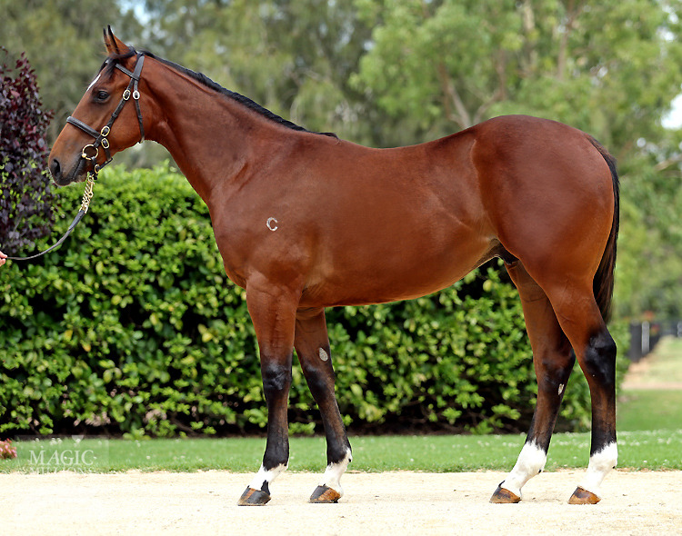 Fastnet Rock (AUS) / Crimson Dawn (GB) - photo 1