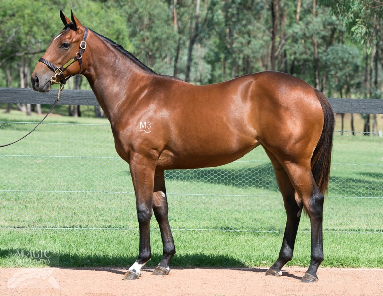 Fastnet Rock (AUS) / Dream Play (USA) - photo 1