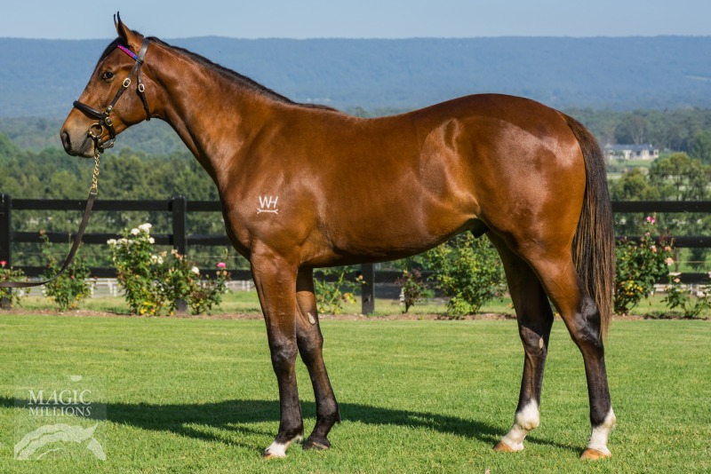 Choisir (AUS) / Elsewhere (AUS) - photo 1