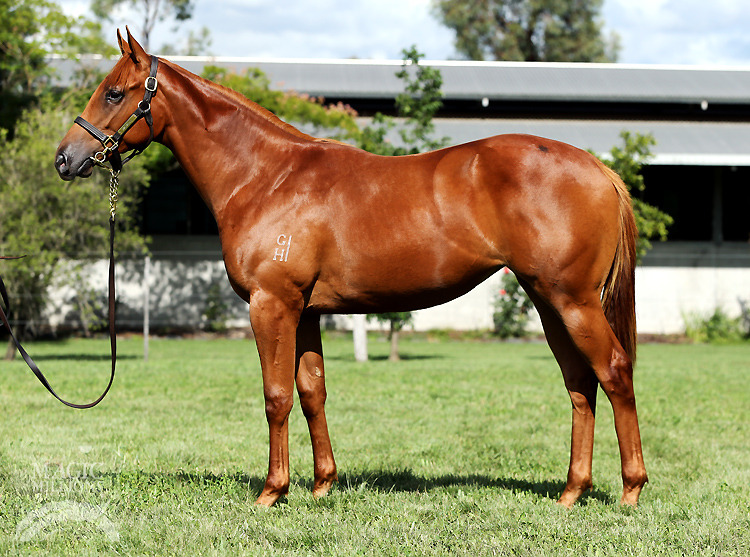 Mystic Empire (AUS) - photo 1