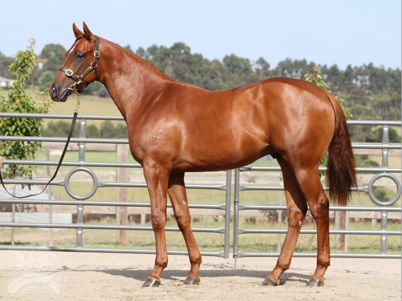 Sebring (AUS) / Eramor (AUS) - photo 1