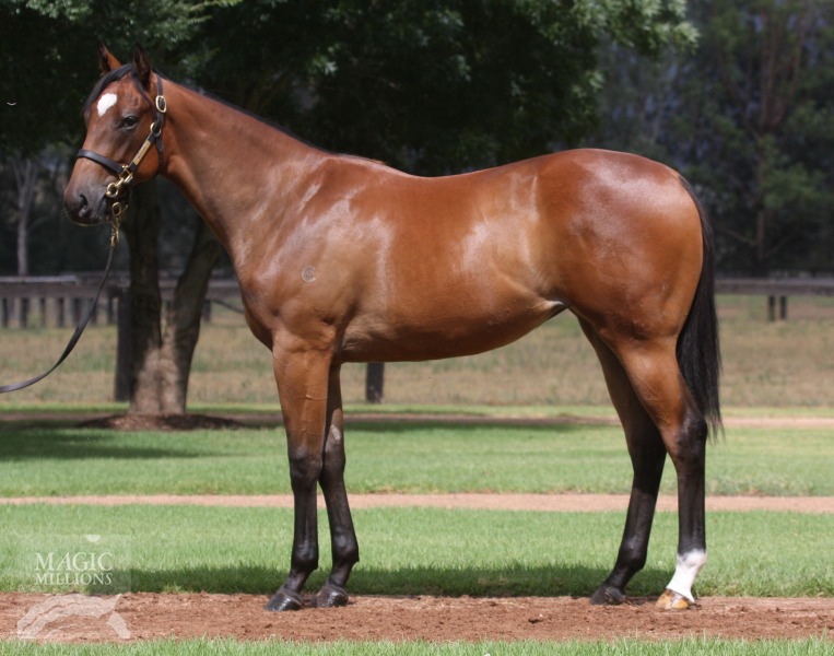 Snitzel (AUS) / Fashion Rocks (AUS) - photo 1