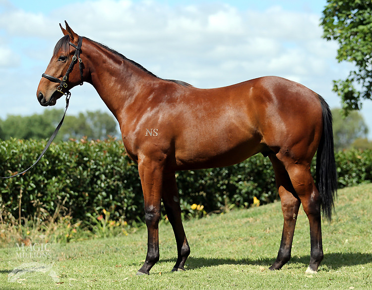 All Too Hard (AUS) / Fasline (AUS) - photo 1