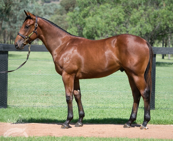 Corinth (AUS) - photo 1