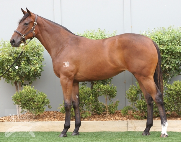 Bullet Train (GB) / Isabel Street (AUS) - photo 1