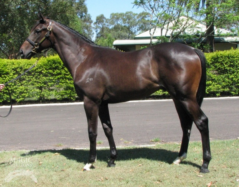 So You Think (NZ) / Isle of Gibraltar (AUS) - photo 1