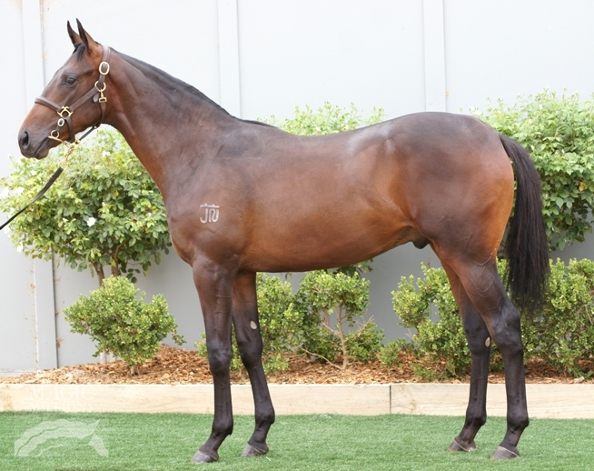 Medaglia D'oro (USA) / Isn't She Fabulous (AUS) - photo 1