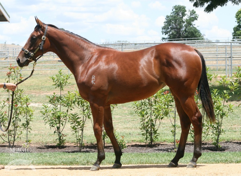 Sanadaat (AUS) - photo 1