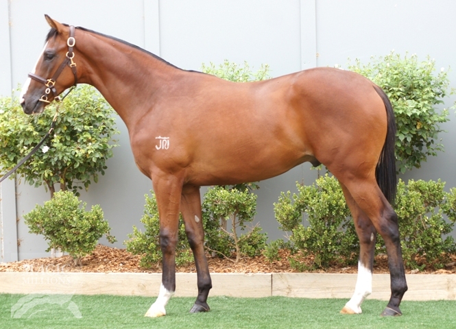 Bullet Train (GB) / Kinder Surprise (AUS) - photo 1