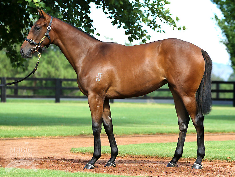 Legal Girl (AUS) - photo 1