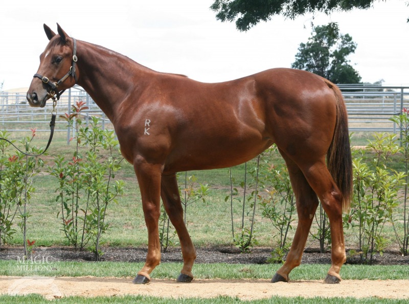 French Skyline (AUS) - photo 1