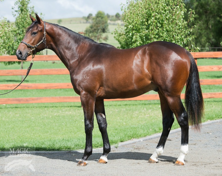 Starcraft (NZ) / Lady Micheline (AUS) - photo 1