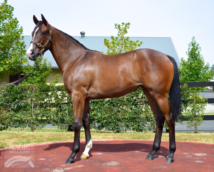 So You Think (NZ) / Libor Lady (USA) - photo 1