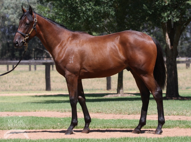 Pierro (AUS) / Lipari (AUS) - photo 1