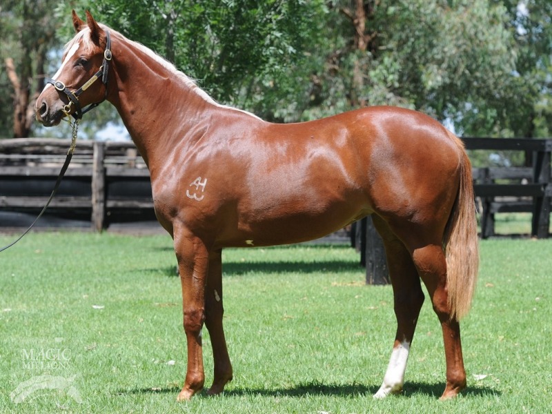 Stratum (AUS) / Longlea (AUS) - photo 1