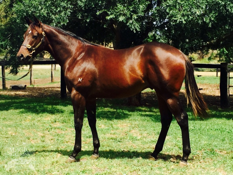 Your Song (AUS) / Lou (NZ) - photo 1