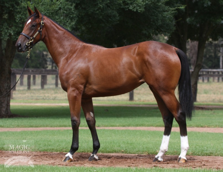 Sebring (AUS) / Marchelle Belle (AUS) - photo 1