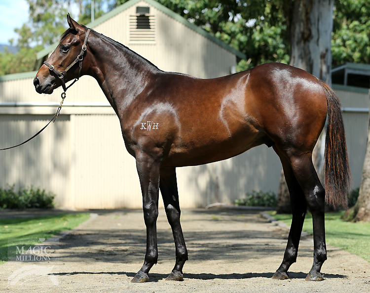 Hinchinbrook (AUS) / Marinov (NZ) - photo 1