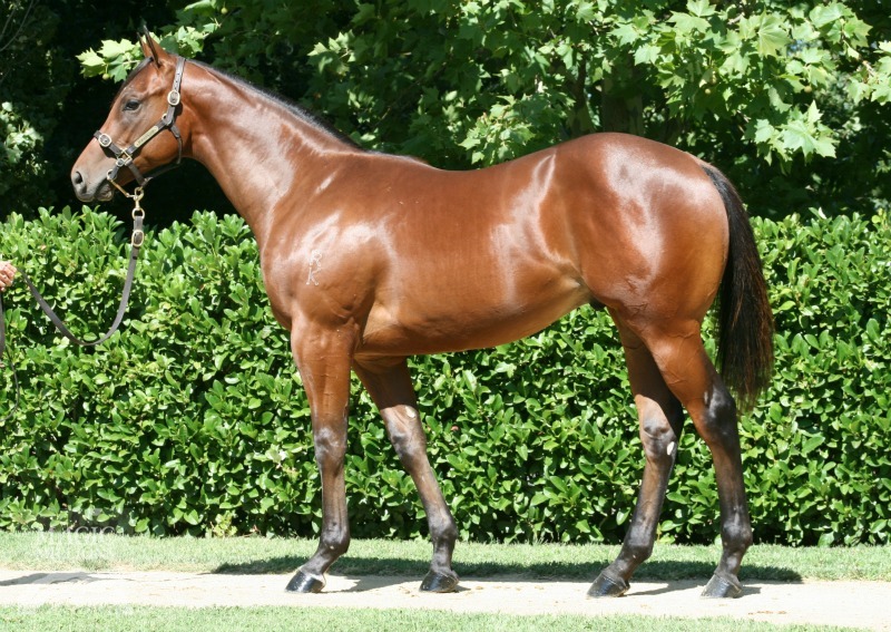 Exceed And Excel (AUS) / Maritime (AUS) - photo 1