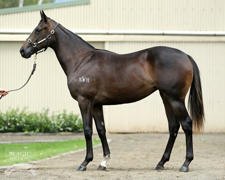 Duporth (AUS) / Maskhara (AUS) - photo 1