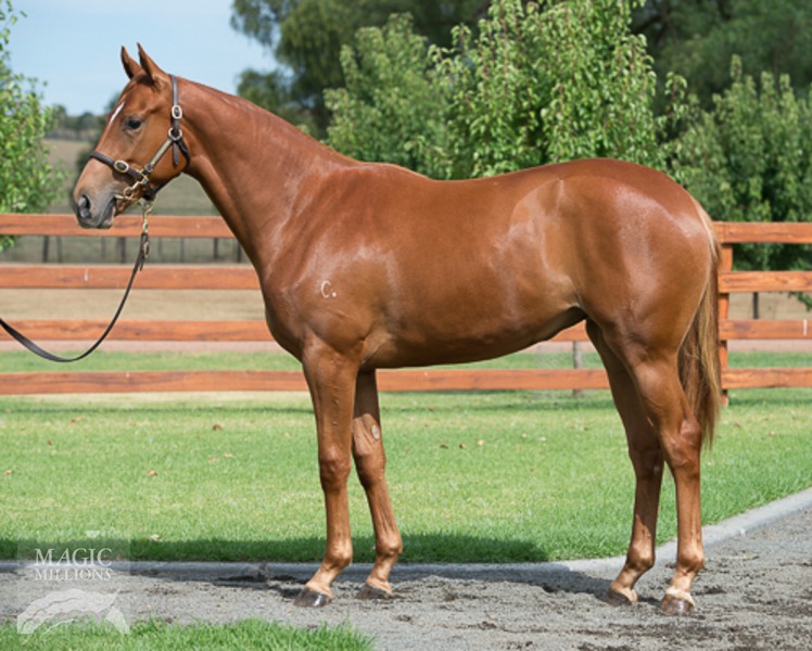 One Fire Beach (AUS) - photo 1