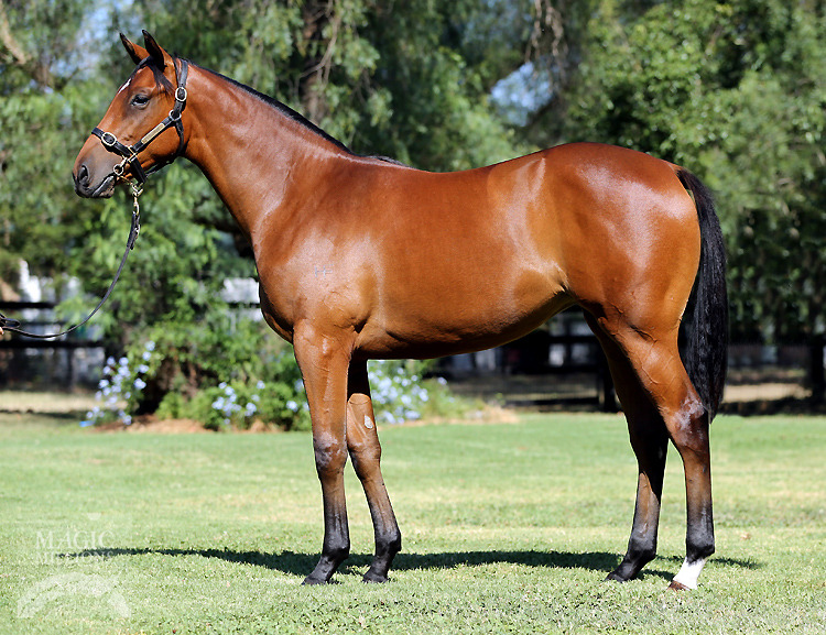 St Gallen (NZ) - photo 1