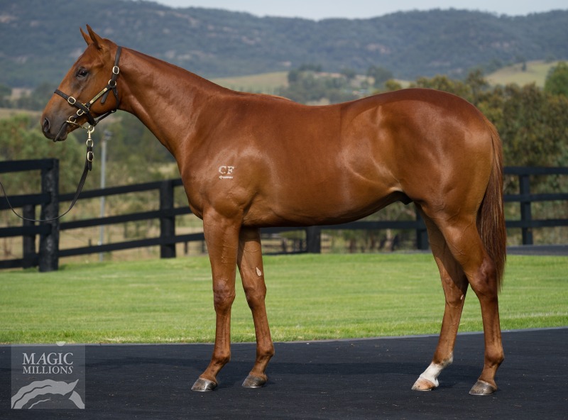 All Too Hard (AUS) / Mid Summer Music (AUS) - photo 1