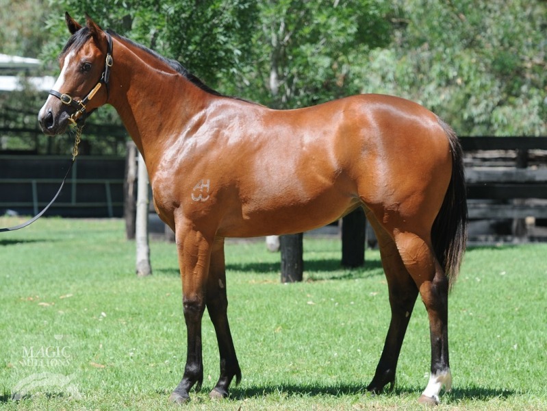 Koonunga (AUS) - photo 1