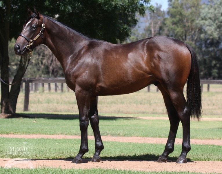 Soir de Lune (AUS) - photo 1