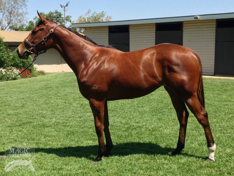 I Am Invincible (AUS) / Myalla Gold (AUS) - photo 1