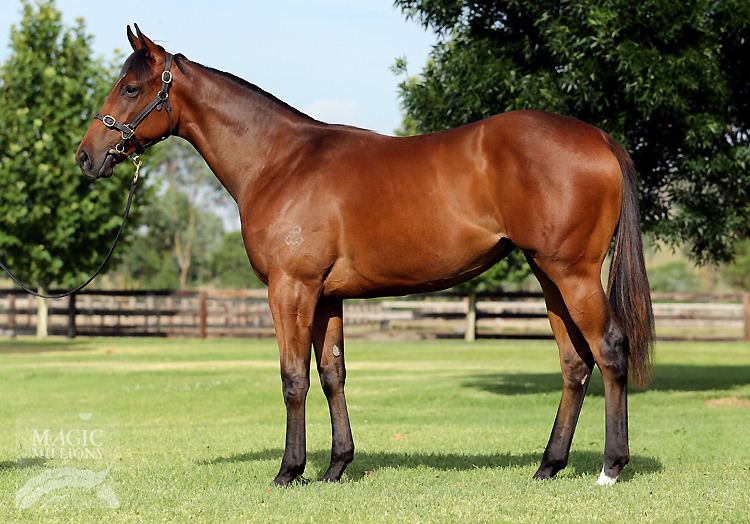 Awesome Amy (AUS) - photo 1