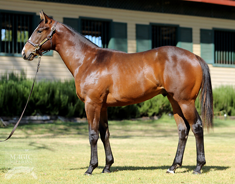 More Than Ready (USA) / Niagara Falls (AUS) - photo 1