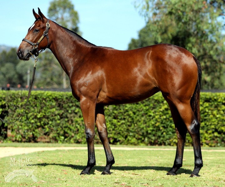 Fastnet Rock (AUS) / Our Pride and Joy (AUS) - photo 1