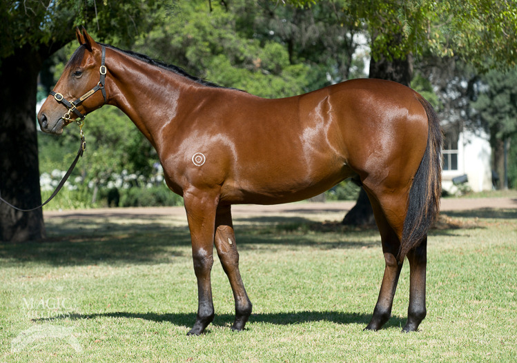 Rosherville (AUS) - photo 1