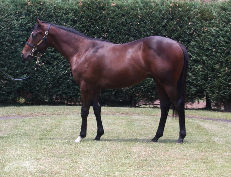 Helmet (AUS) / Pleats (FR) - photo 1