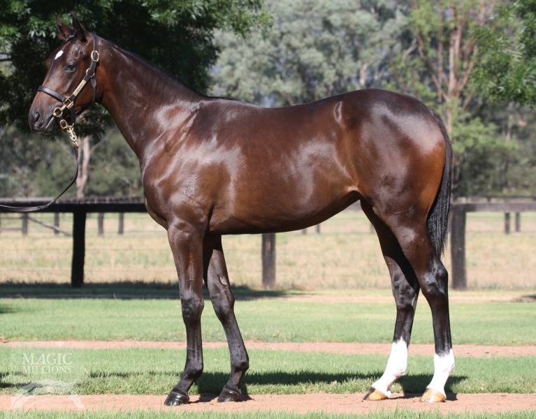 Sebring (AUS) / Polska (AUS) - photo 1