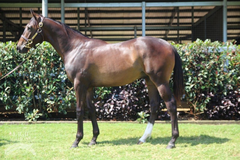 Pierro (AUS) / Queens Plaza (AUS) - photo 1