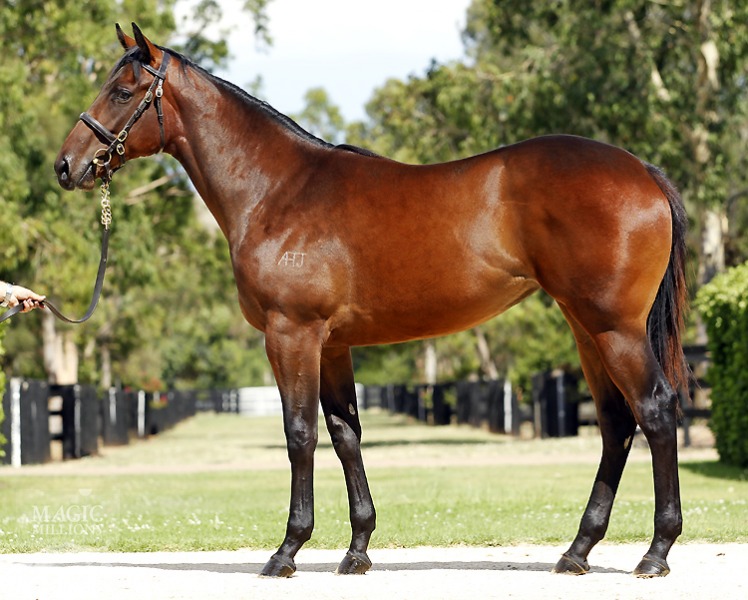Fastnet Rock (AUS) / Randaroo (USA) - photo 1