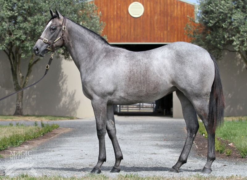 Platinum Angel (AUS) - photo 1