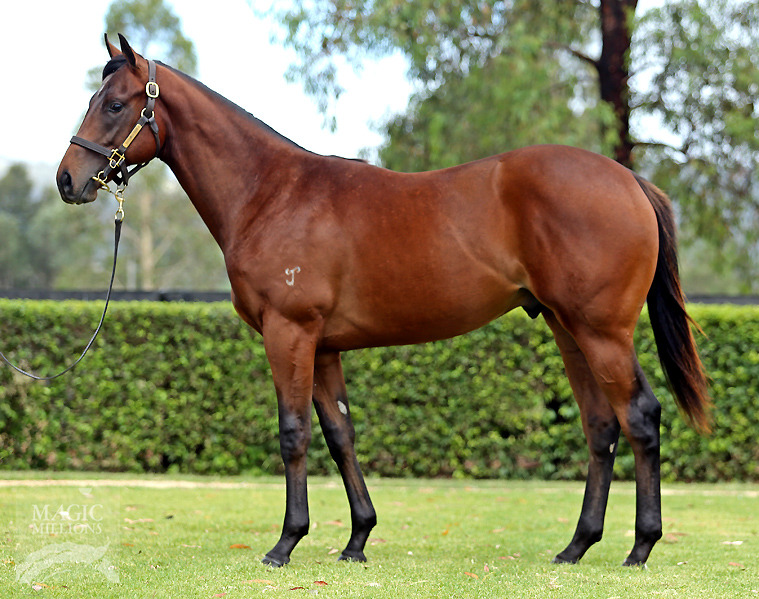 I Am Invincible (AUS) / Rivers Secret (AUS) - photo 1