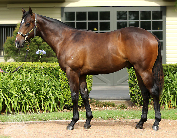 All Too Hard (AUS) / Roman Treasure (USA) - photo 1