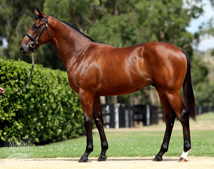 Fastnet Rock (AUS) / Ronan's Bay (USA) - photo 1