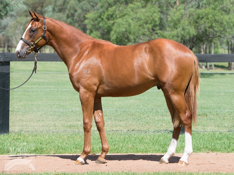 Exceed And Excel (AUS) / Rosetta Stone (GB) - photo 1